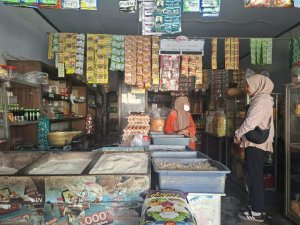 TRININGSIH: Dulu Usaha Saya Lambat, Setelah Dapat KUR dan Pendampingan BRI, Saya Lebih Semangat dan Yakin!